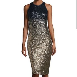Nicole Miller sequence ombré dress